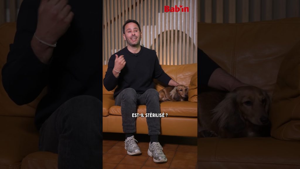 Bab'in, des vidéos pédagogiques en un temps record