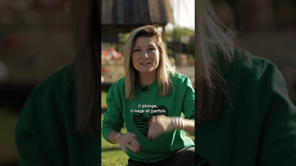 Parrot World, une série pédagogique avec Élodie et Sandrine