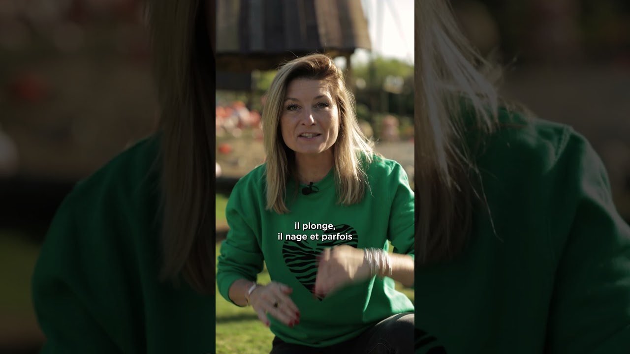 Parrot World, une série pédagogique avec Élodie et Sandrine