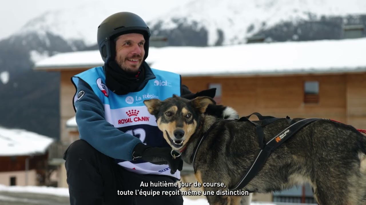 Royal Canin, un documentaire sur La Grande Odyssée