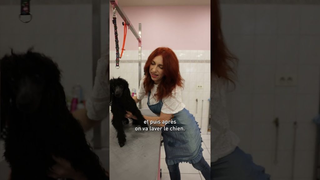 Royal Canin, mini-documentaires 9:16