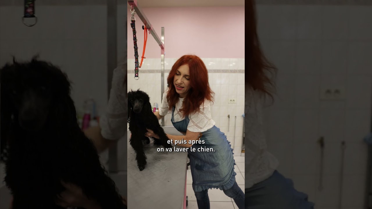 Royal Canin, mini-documentaires 9:16